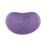 JELLY BELLY SCENTED SQUISHY TOY - The BIG Bean Single Pack (Assorted)