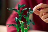 Lego : Lucky Bamboo