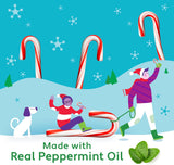 Brach's Mini Peppermint Candy Canes : Made with real Peppermint Oil - 35 pack (best before December 2025)