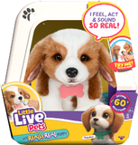 (PRE-ORDER) Little Live Pets : My Really Real Puppy