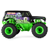 Monster Jam 1:24 Scale RC Trucks (Assorted Styles)