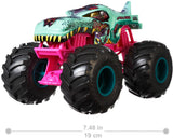 Hot Wheels Monster Trucks 1:24 Scale (Assorted  Variants)