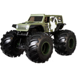 Hot Wheels Monster Trucks 1:24 Scale (Assorted  Variants)