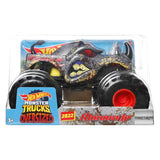 Hot Wheels Monster Trucks 1:24 Scale (Assorted  Variants)